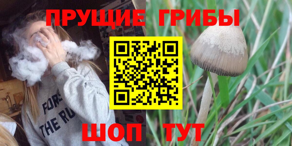 Азнакаево  Псилоцибиновые грибы Magic Shrooms  Вход с VPN 
