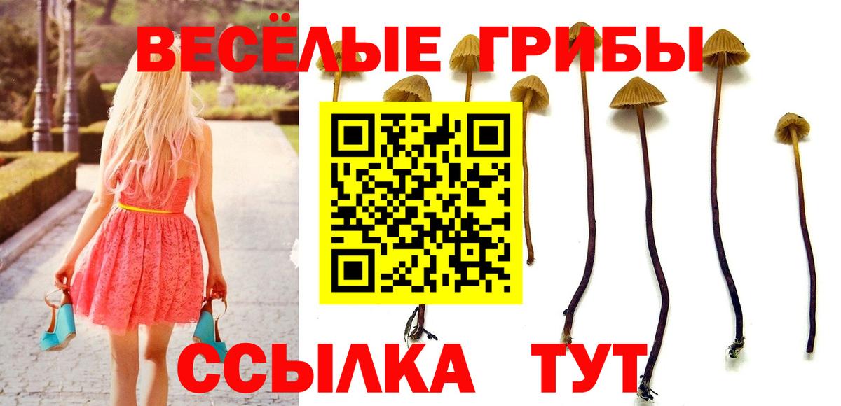 Галлюциногенные грибы прущие грибы Азнакаево